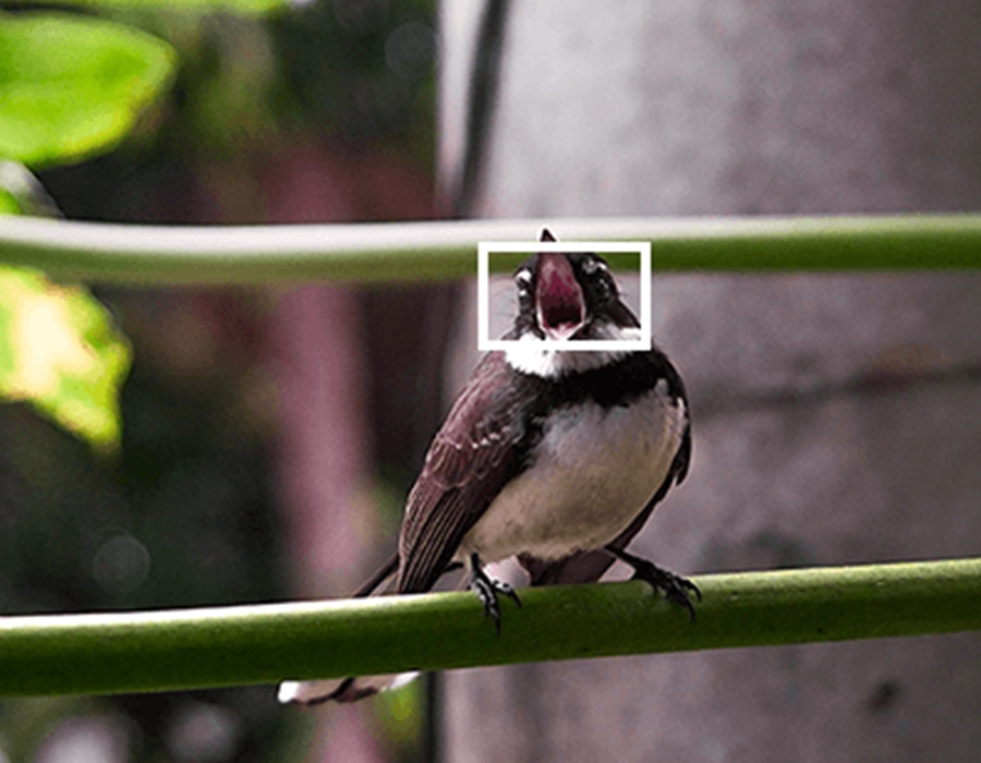 Фотоаппарат Fujifilm X100VI Black (16821884)