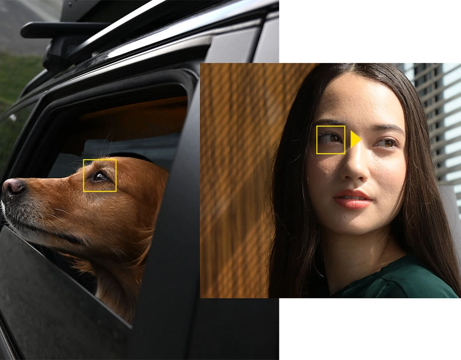 Фотоаппарат Nikon Z5 kit [24-50mm] + FTZ (VOA040K003)