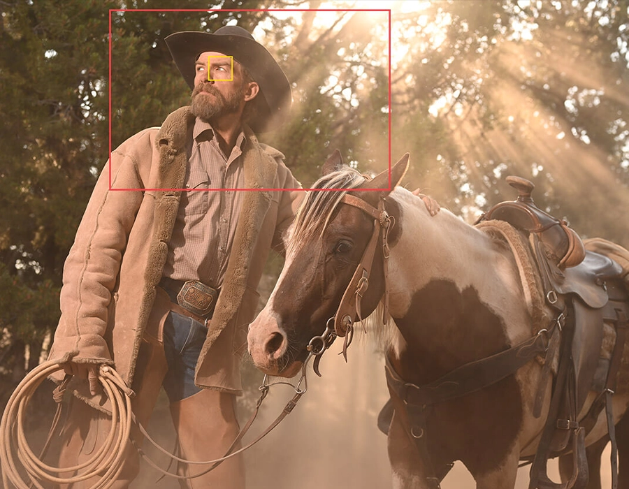 Фотоапарат Nikon Z6 II kit [24-70mm] (VOA060K001)