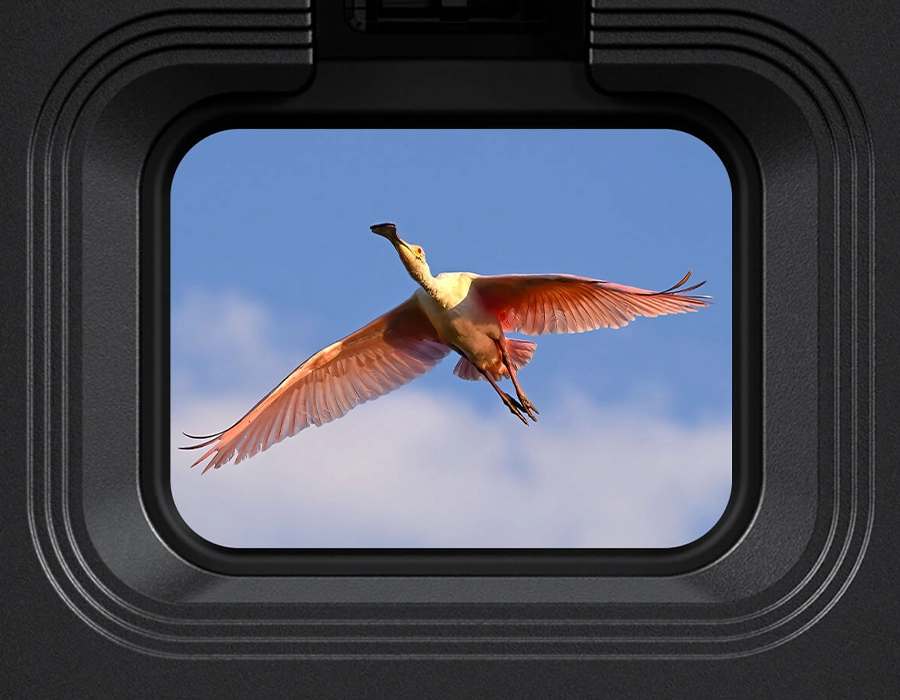 Фотоапарат Nikon Z6 III body (VOA130AE)