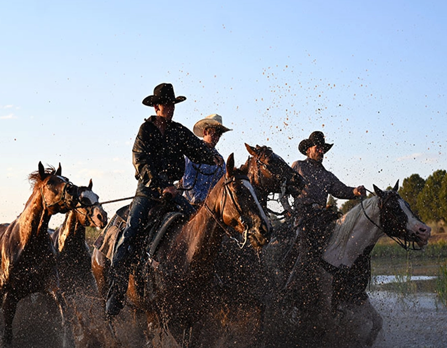 Фотоапарат Nikon Z7 II + FTZ Adapter Kit (VOA070K002)