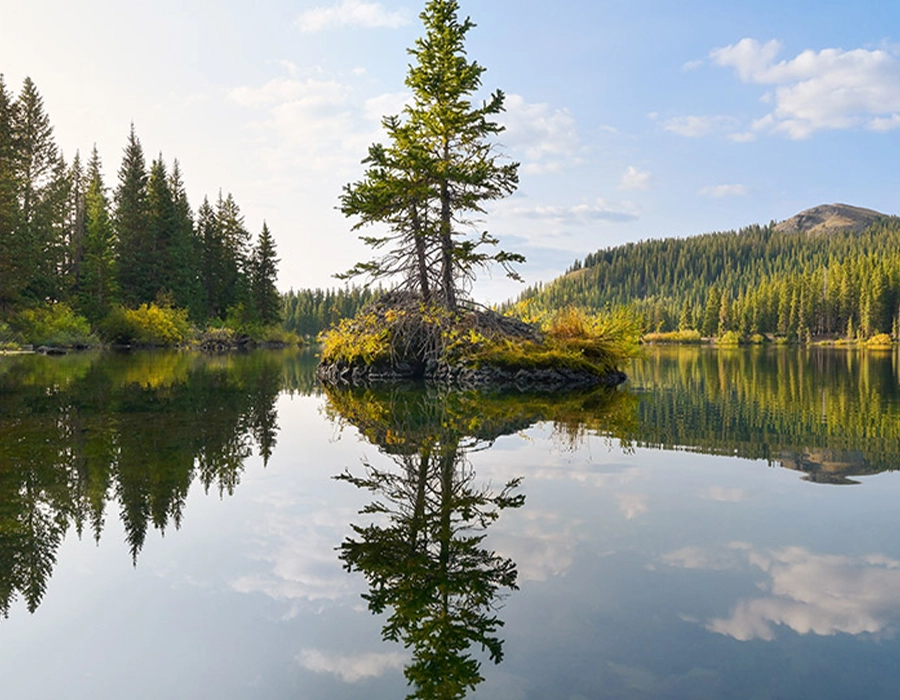 Фотоапарат Nikon Z7 II + FTZ Adapter Kit (VOA070K002)