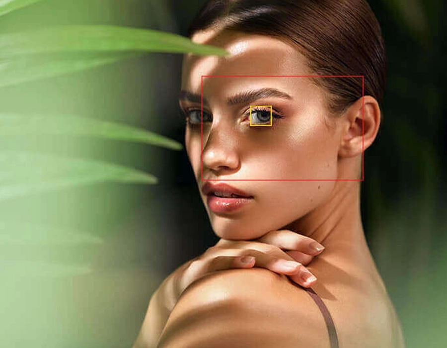 Фотоапарат Nikon Z7 II + FTZ Adapter Kit (VOA070K002)