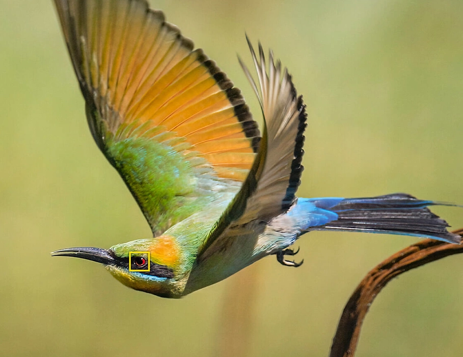 Фотоапарат Nikon Z8 body (VOA101AE)