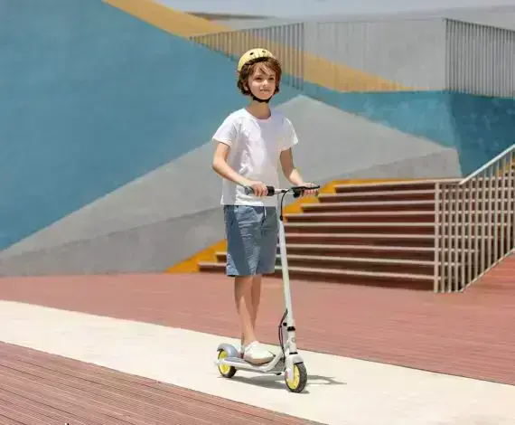 inebot-by-segway-ekickscooter-zing-c-8