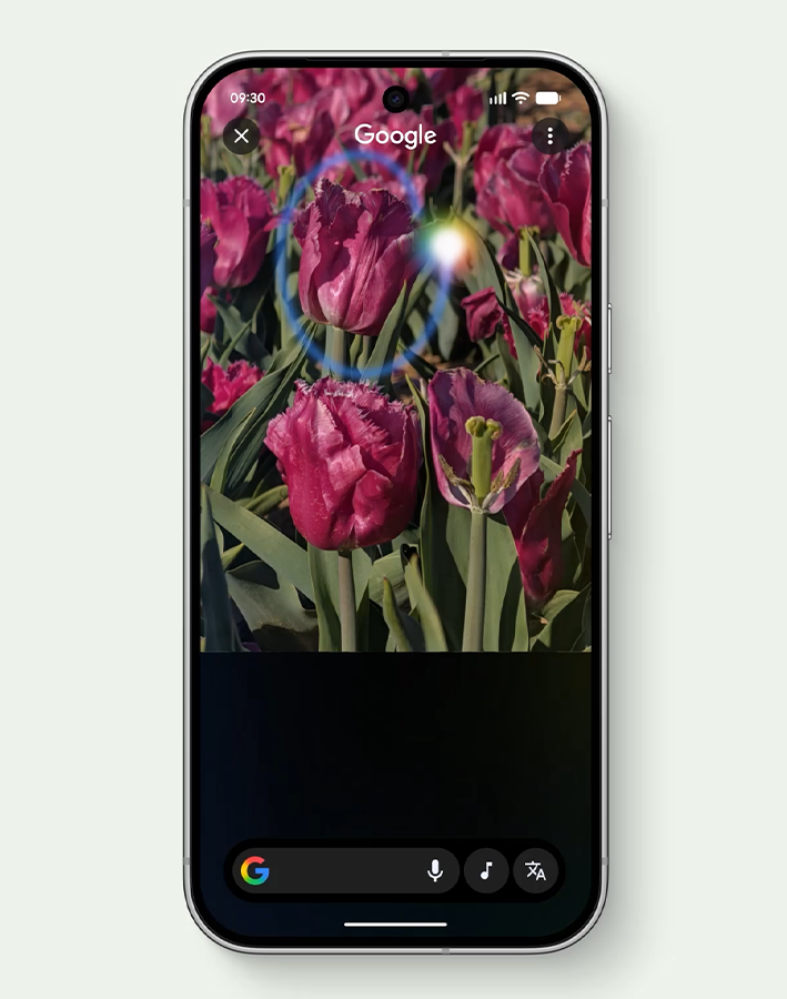 Смартфон Google Pixel 11 Pro XL 12/256GB Fog