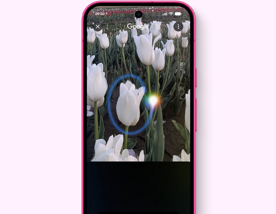 Смартфон Google Pixel 11 12/256GB Hibiscus