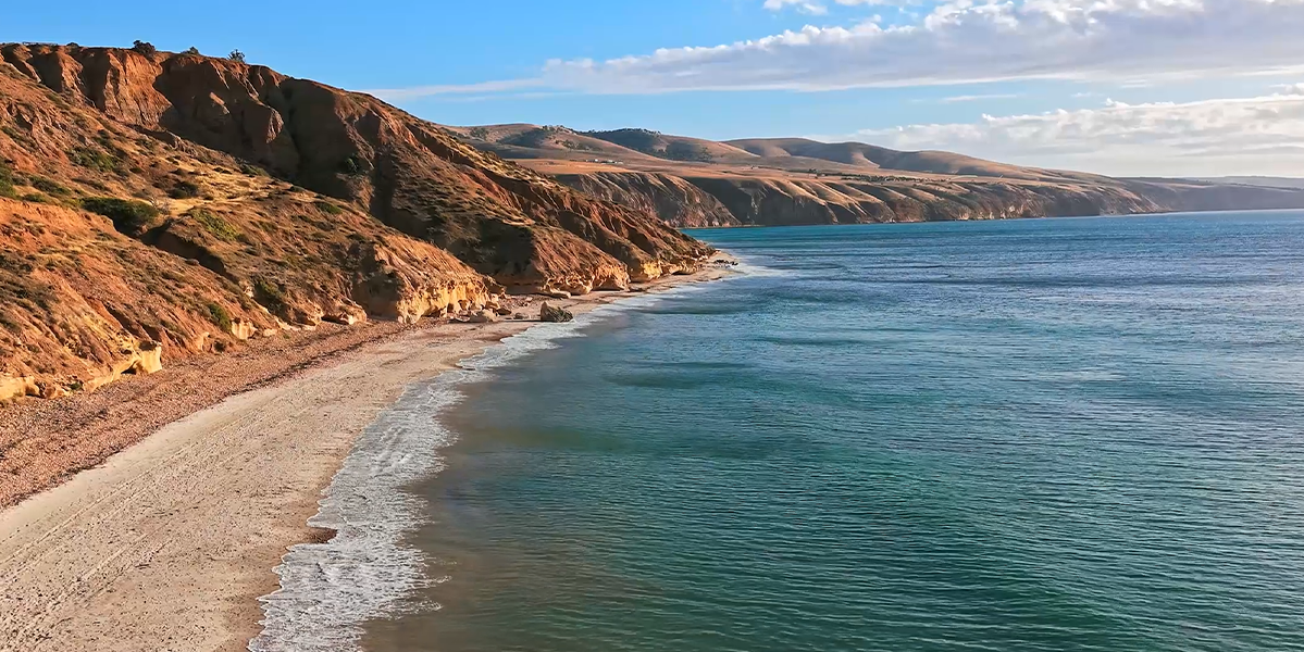 Квадрокоптер DJI Lito X1 Fly More Combo Plus [DJI RC 2]