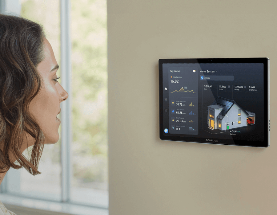 Монітор домашньої енергосистеми EcoFlow PowerInsight 2 (EF-PowerInsight 2-EU)