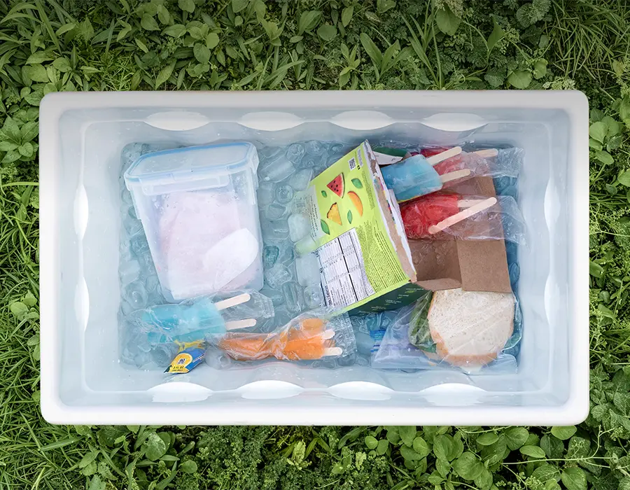 EcoFlow GLACIER Classic без талого льоду, з сухим внутрішнім простором