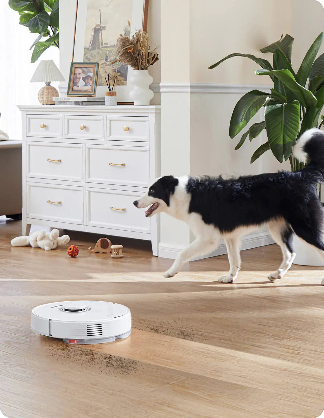 robot-pilosos-roborock-q7-max-3