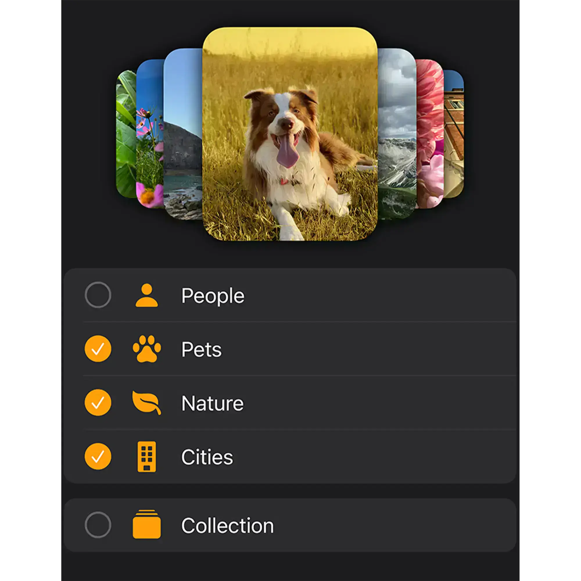 watchos-preview-2