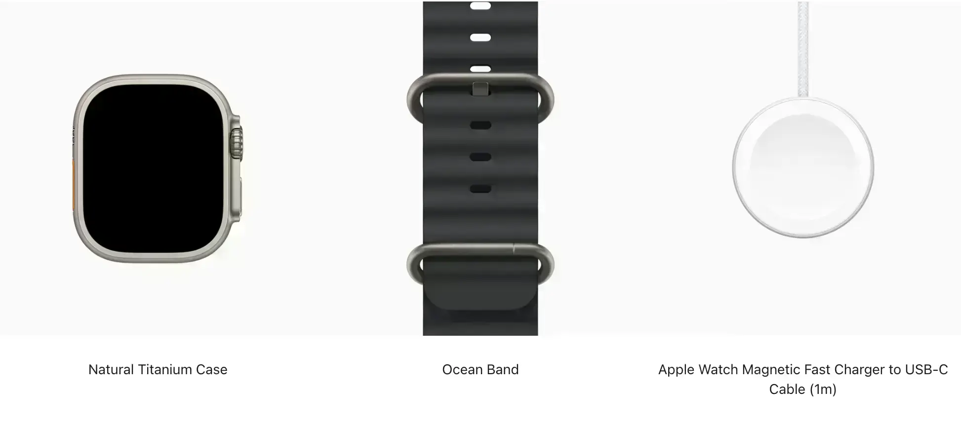 natural-titanium-black-ocean-band