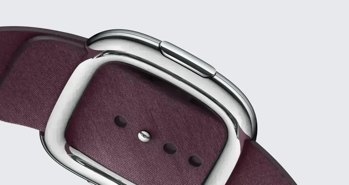 modern-buckle-1