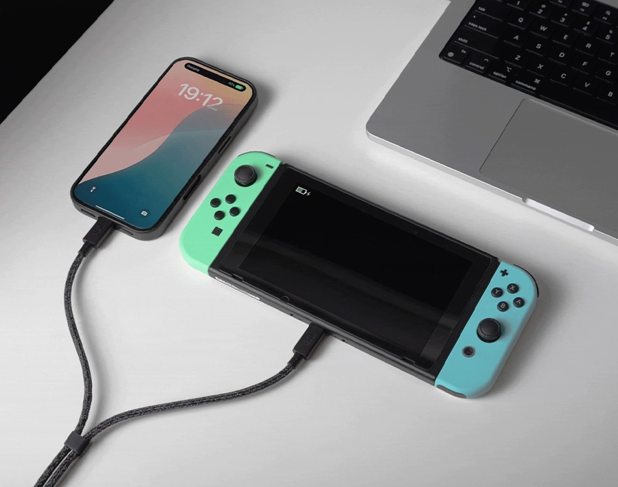 Кабель Native Union Belt Cable 2-in-1 USB-C to USB-C & USB-C Cable 140W [2m] - Zebra (BELT-C-2C-ZEB)