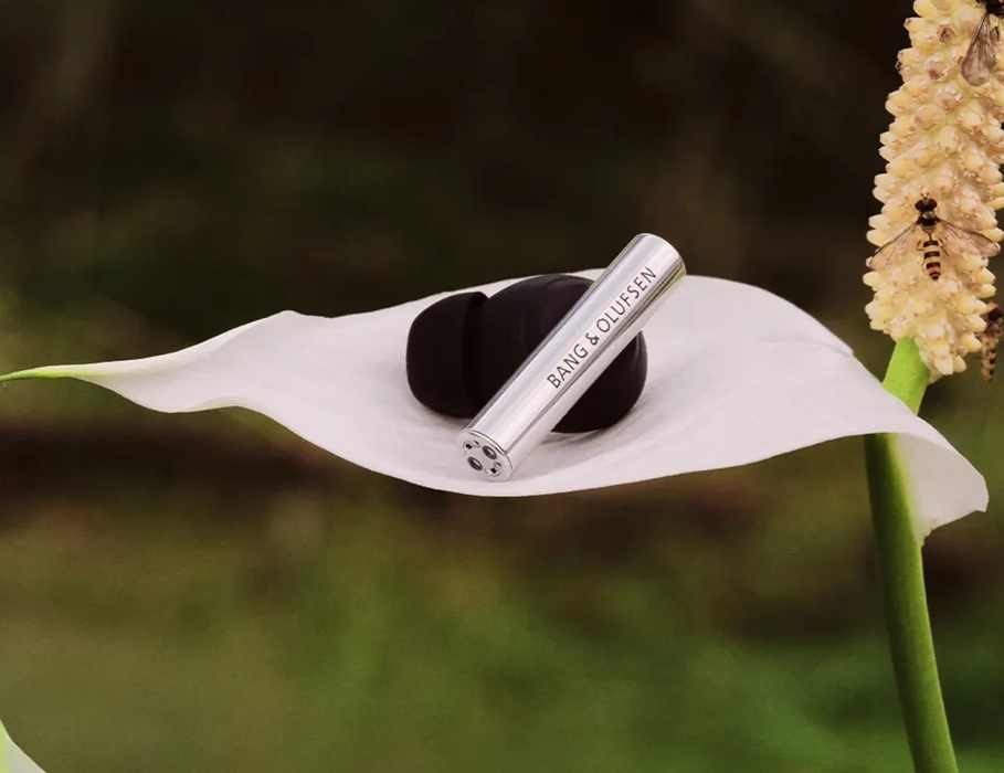 Beo Grace на лепестке цветка