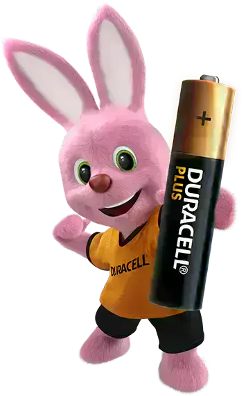 Duracell-Plus-AAA-Alkaline-Batteries-1