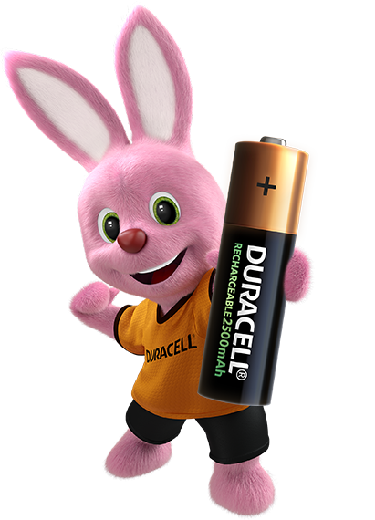 bunny_holding_batteries_AA_RECHARGEABLE_2500MAH_411x570px.png