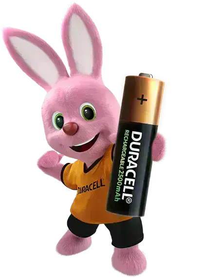 Акумулятор Duracell Rechargeable AA 2500mAh Batteries 1,2V HR6/DX1500 [Pack of 4] (5000394057043)