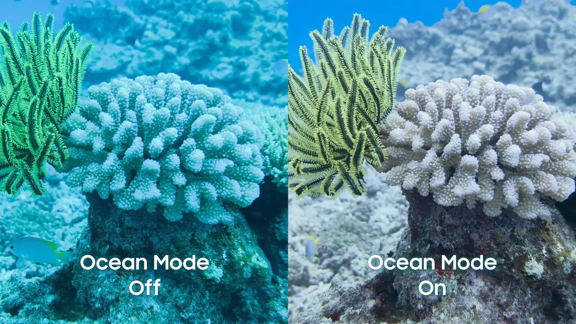 ocean-mode-galaxy-fold-7