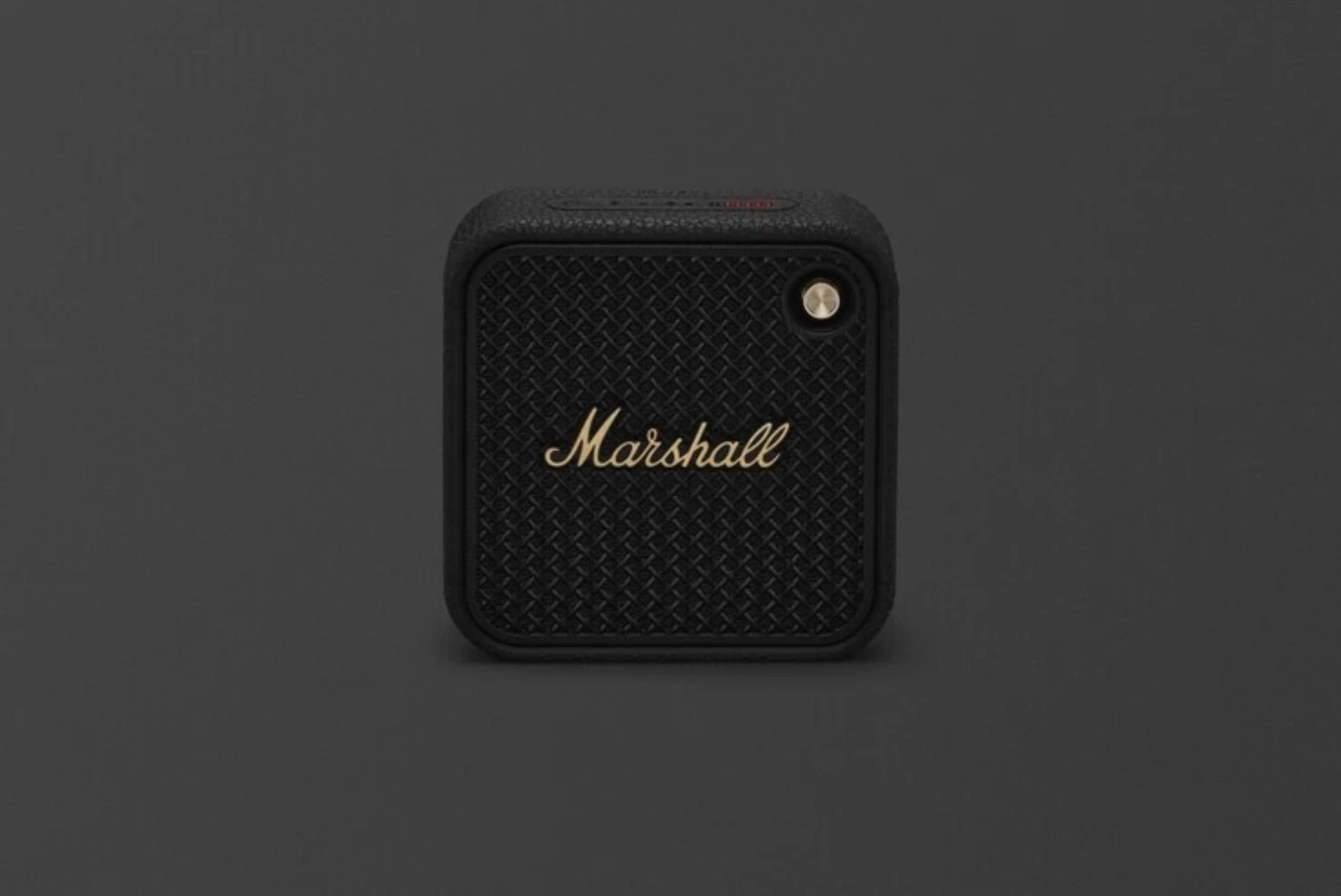 marshall-willen-2