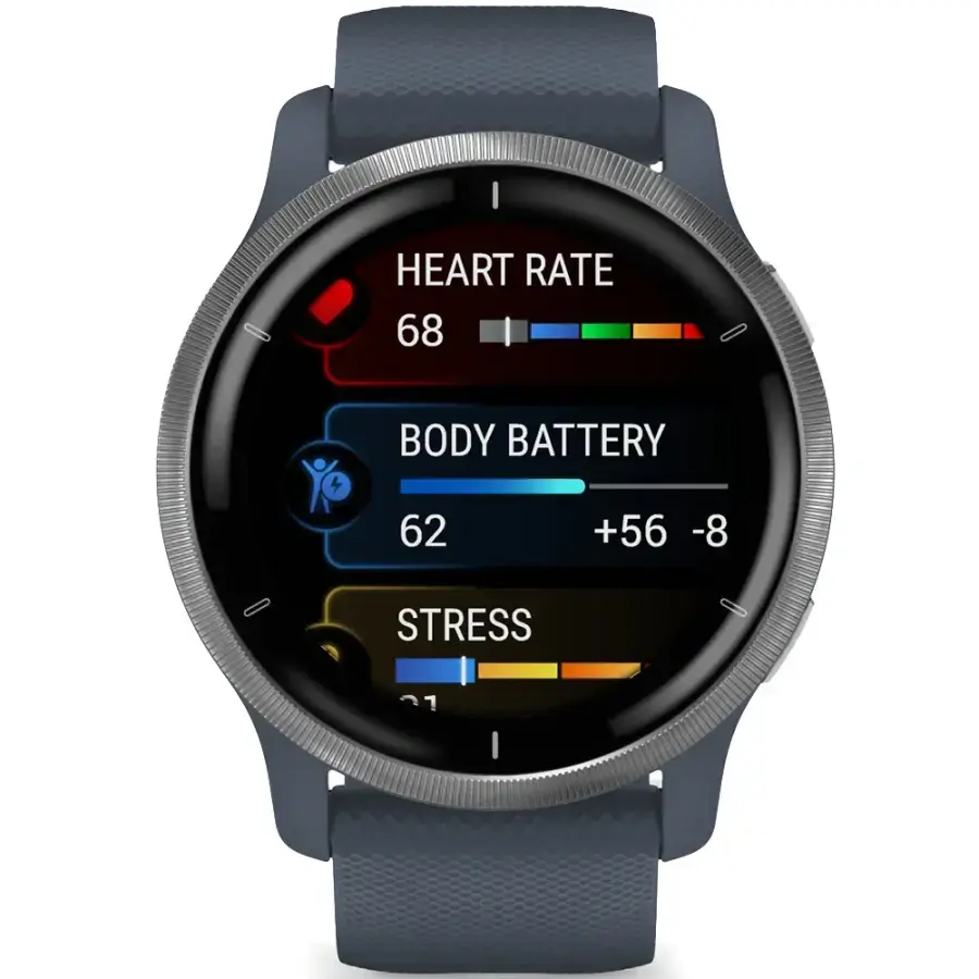 Смарт-годинник Garmin Venu 2 Silver Bezel with Granite Blue Case and Silicone Band (010-02430-10/00)