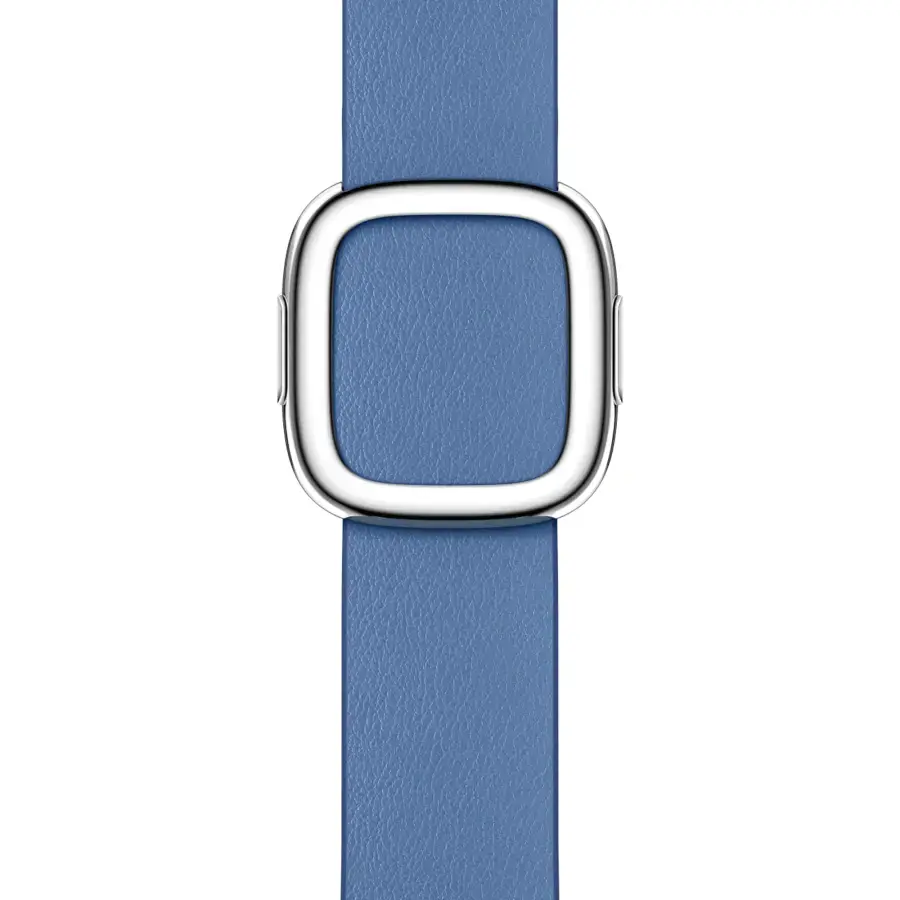 Ремінець Apple Azure Modern Buckle Medium для Apple Watch 38/40/41/42mm (MP8H3)