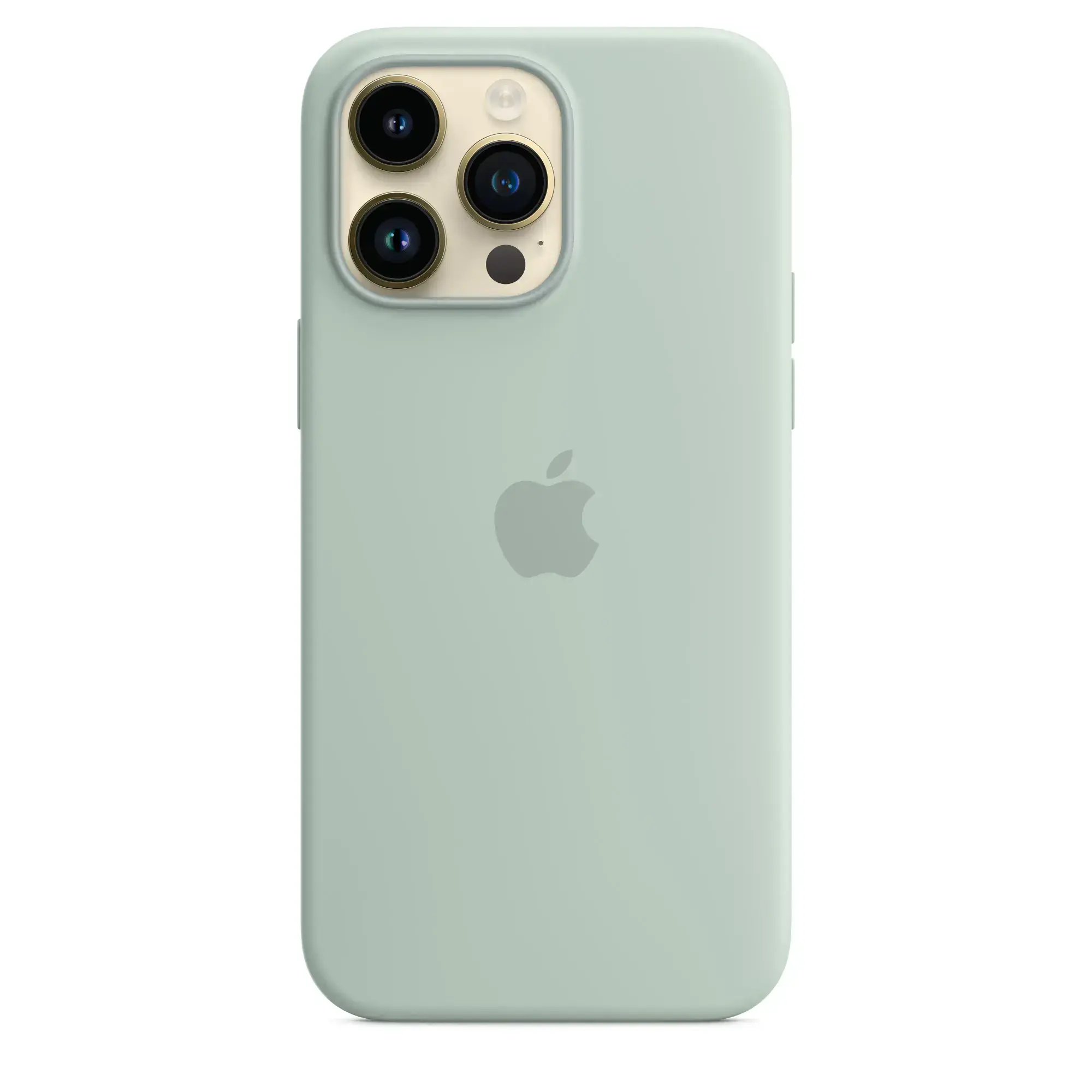Чохол Apple iPhone 14 Pro Max Silicone Case with MagSafe - Succulent (MPTY3)
