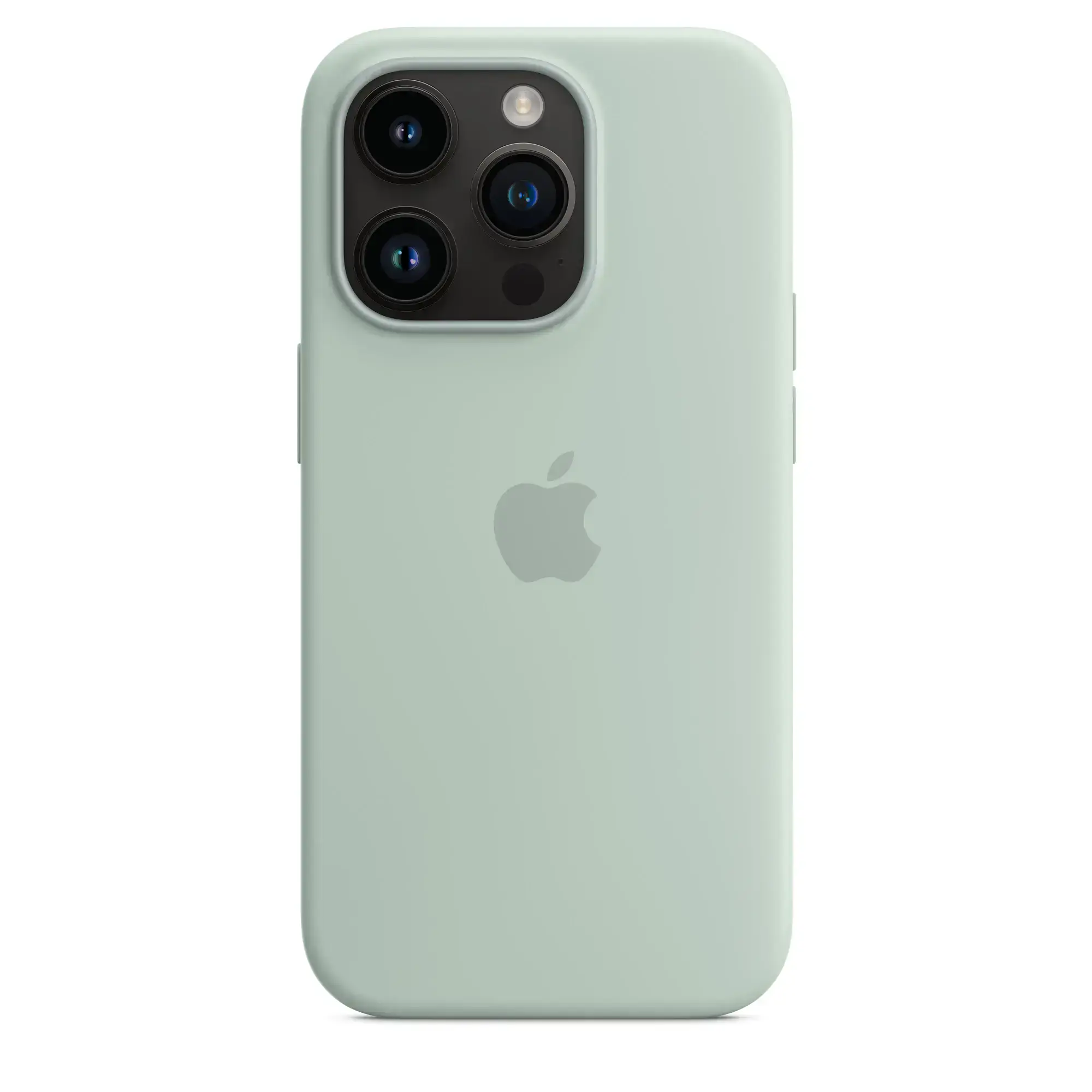 Чохол Apple iPhone 14 Pro Silicone Case with Animation & MagSafe (1:1 original) - Succulent