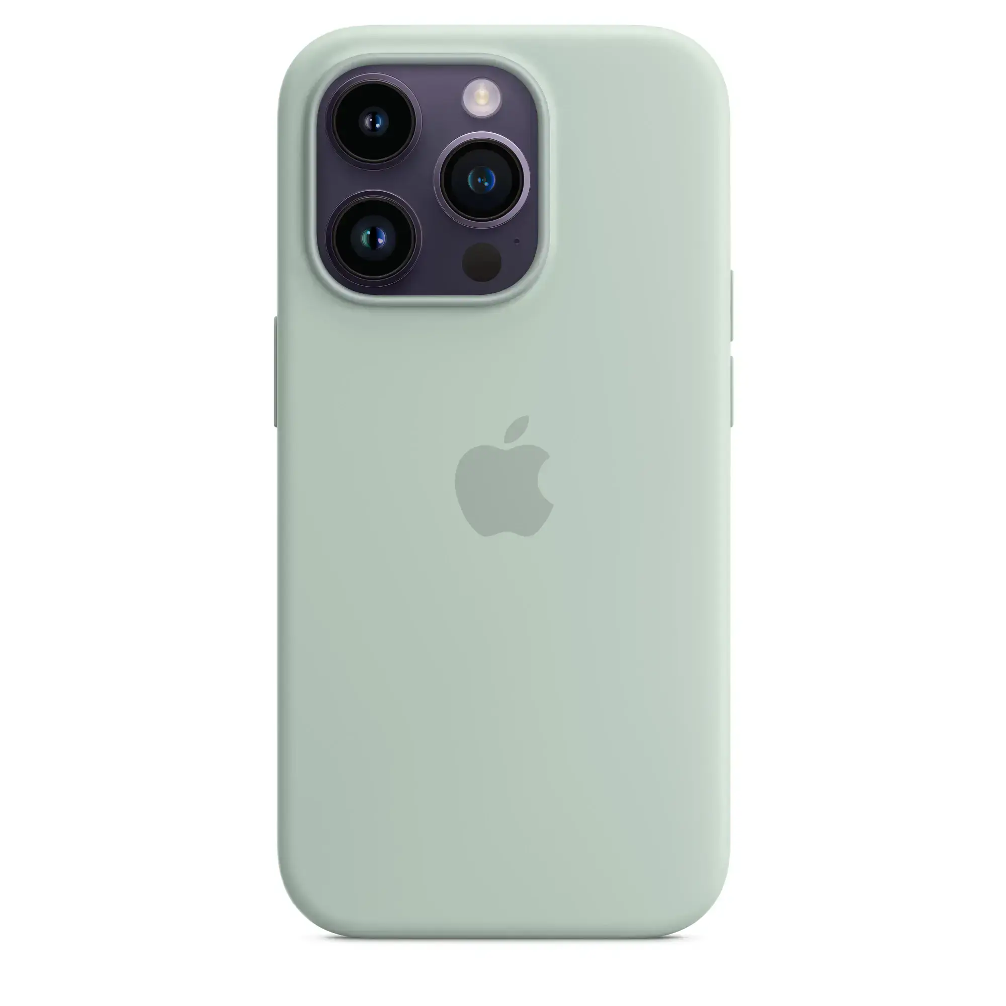 Чохол Apple iPhone 14 Pro Silicone Case with Animation & MagSafe (1:1 original) - Succulent