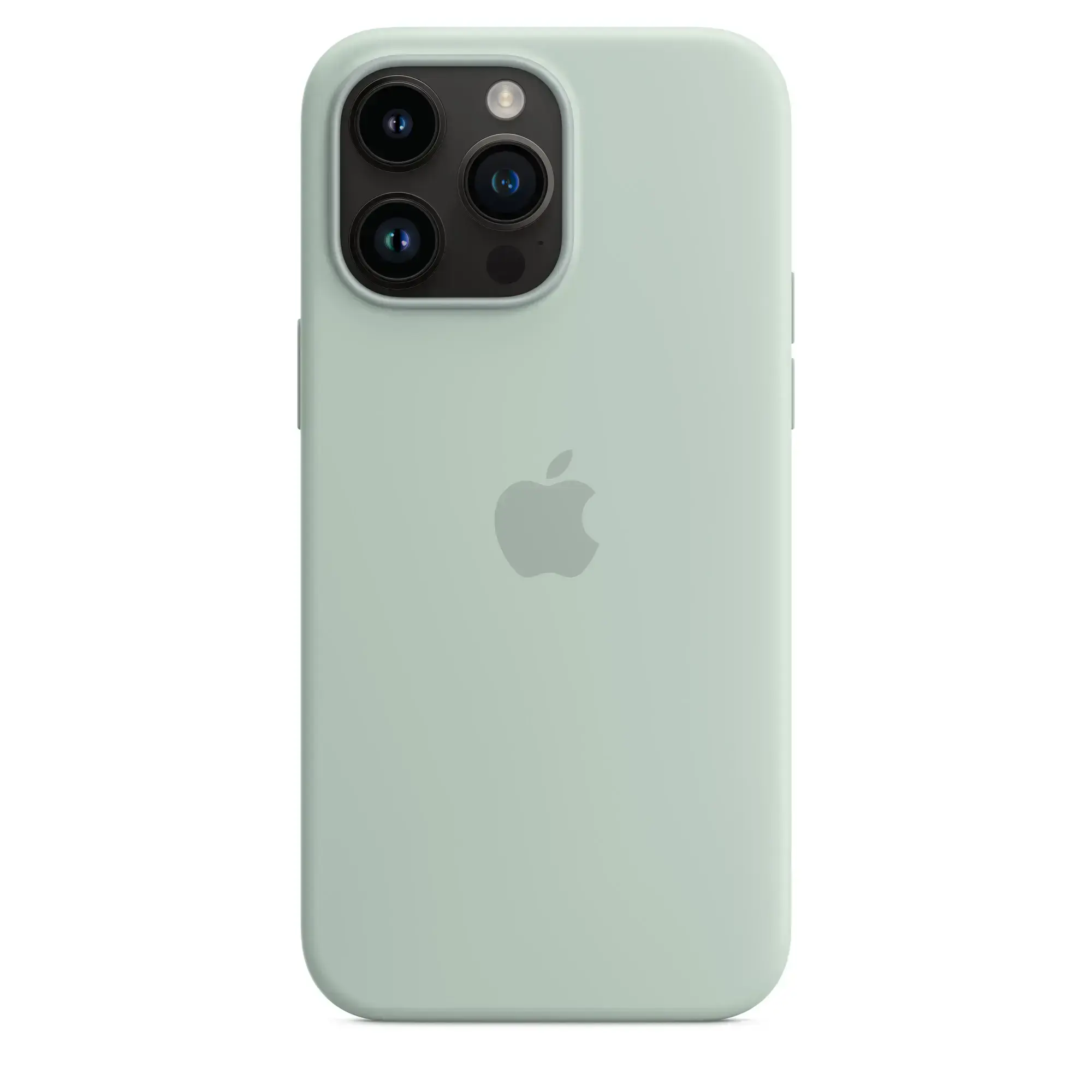 Чохол Apple iPhone 14 Pro Silicone Case with MagSafe - Succulent (MPTL3)