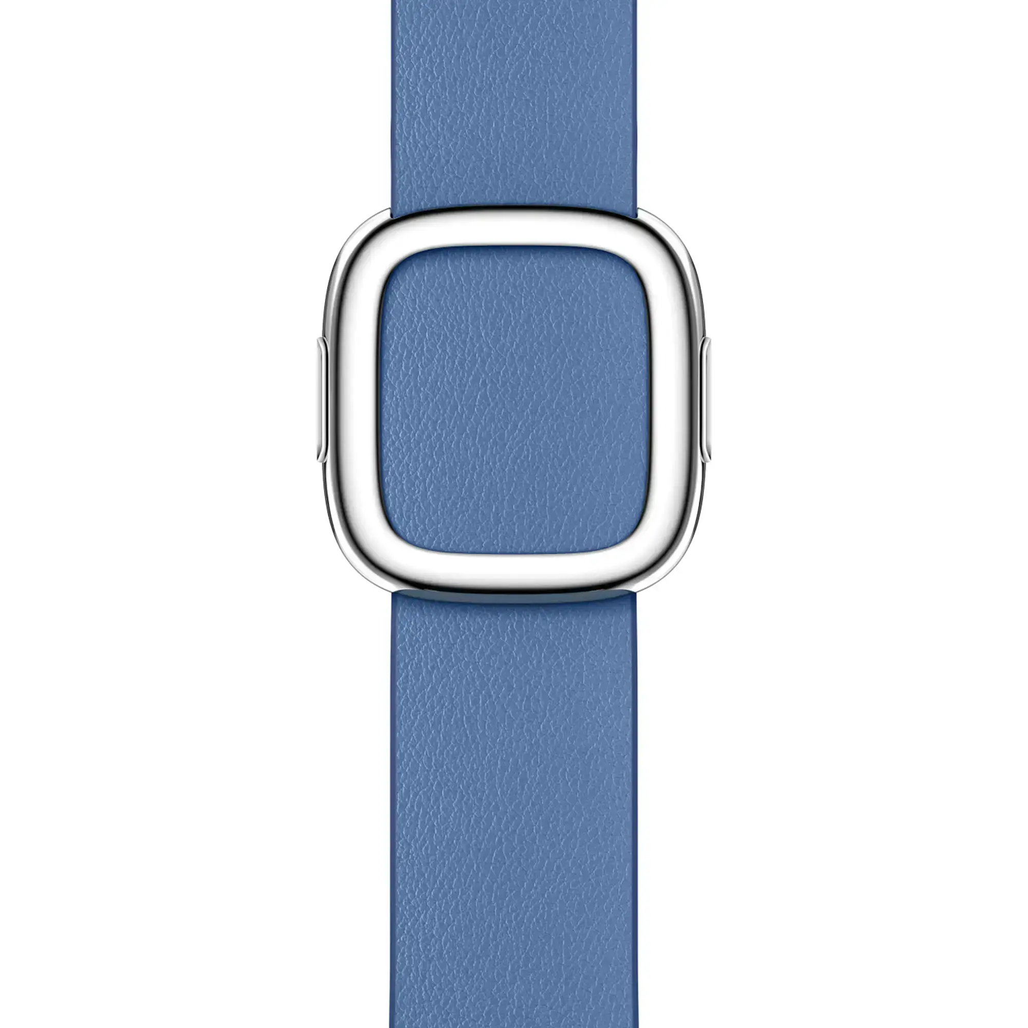 Ремешок NO BOX Apple Azure Modern Buckle Large для Apple Watch 38/40/41/42mm (MP8J3)