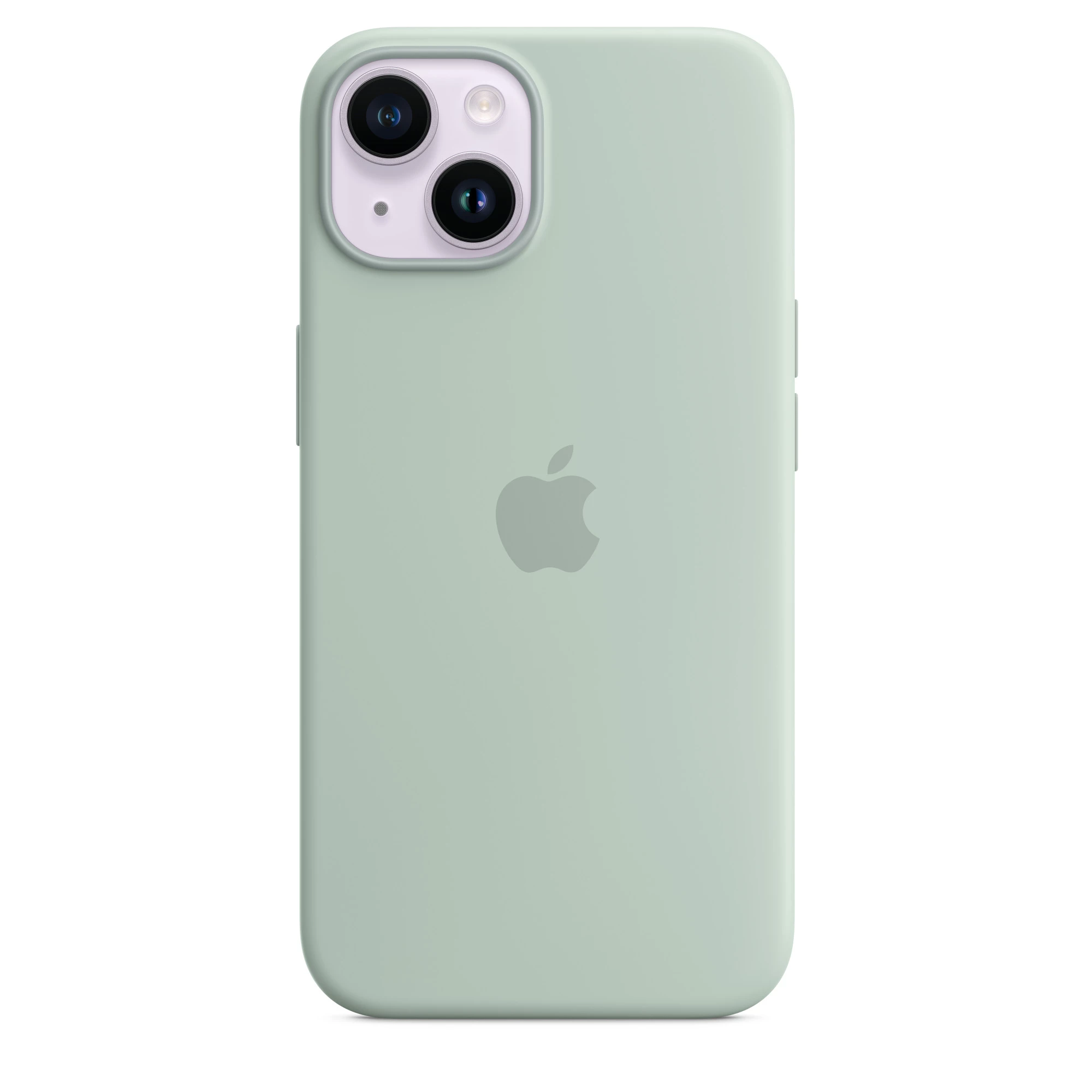 Чохол Apple iPhone 14 Silicone Case with MagSafe - Succulent (MPT13)