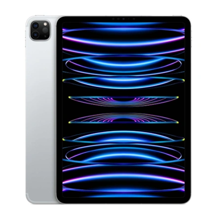 iPad Pro 11" 2022 Wi-Fi 1TB Silver (MNXL3)