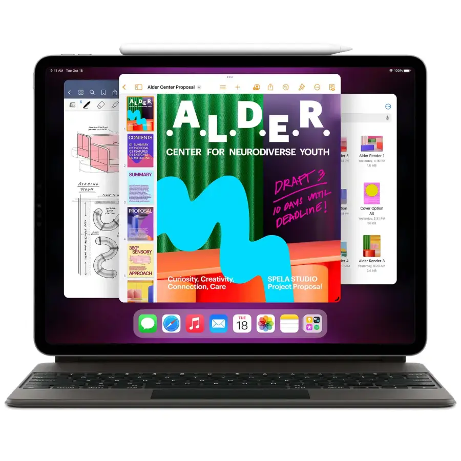 iPad Pro 11" 2022 Wi-Fi + Cellular 2TB Silver (MP5H3, MNYM3)