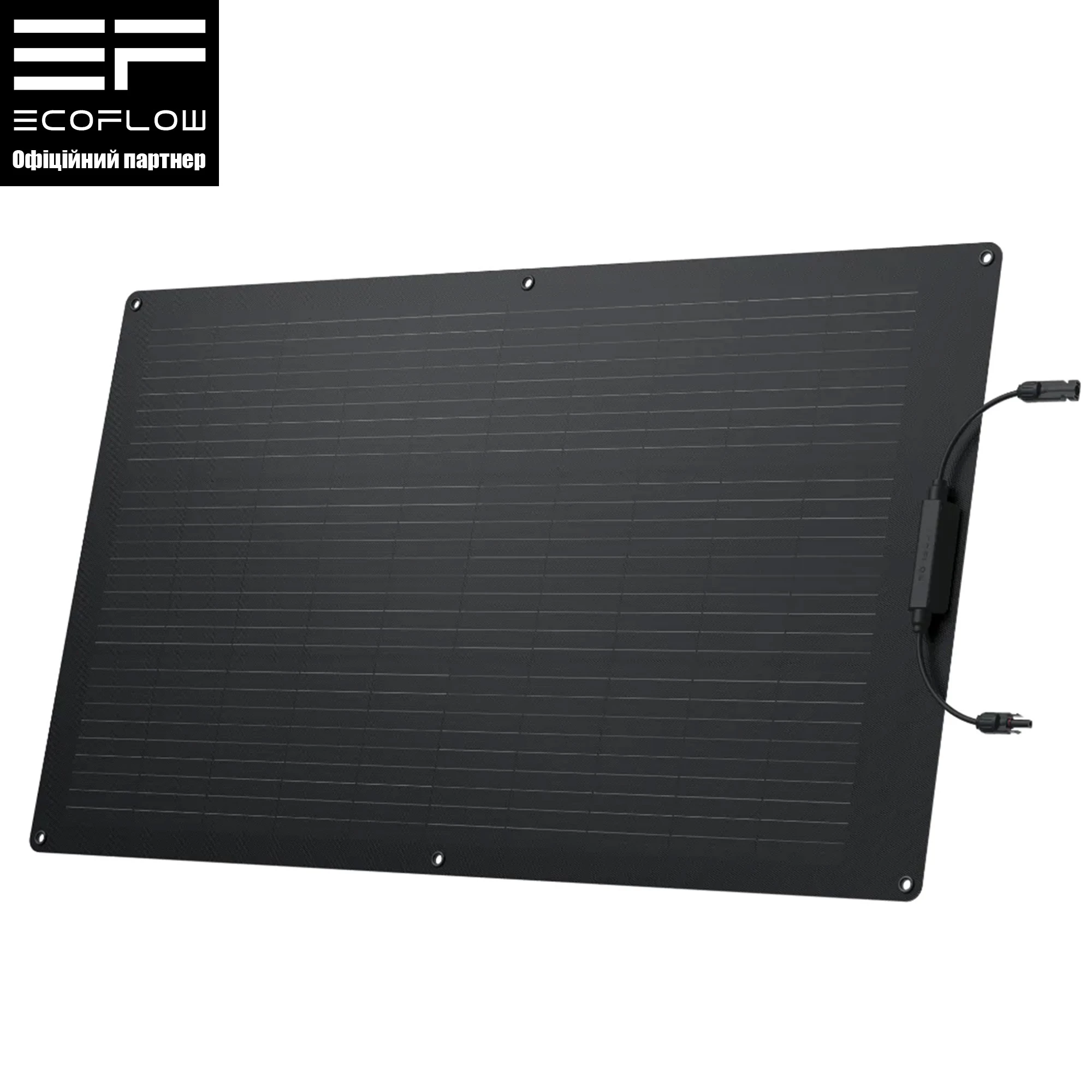 Гнучка сонячна панель EcoFlow 100W Solar Panel (ZMS330)