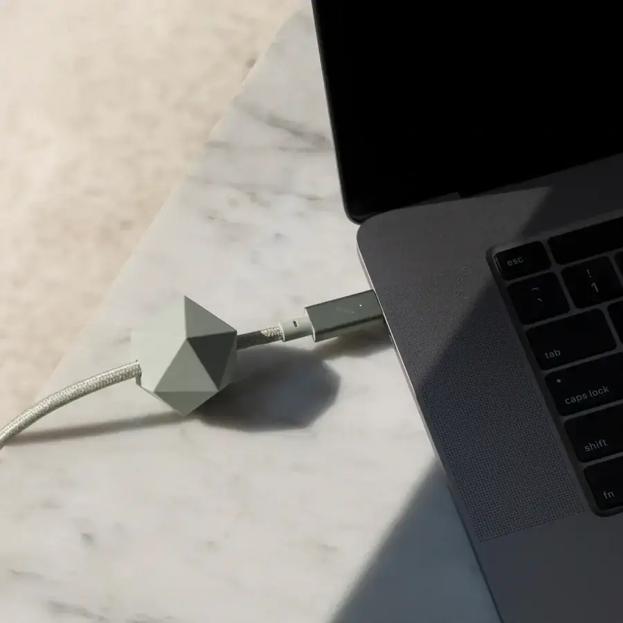 Native Union Desk Cable USB-C to USB-C Sage (2.4 m) (DCABLE-C-GRN-NP)