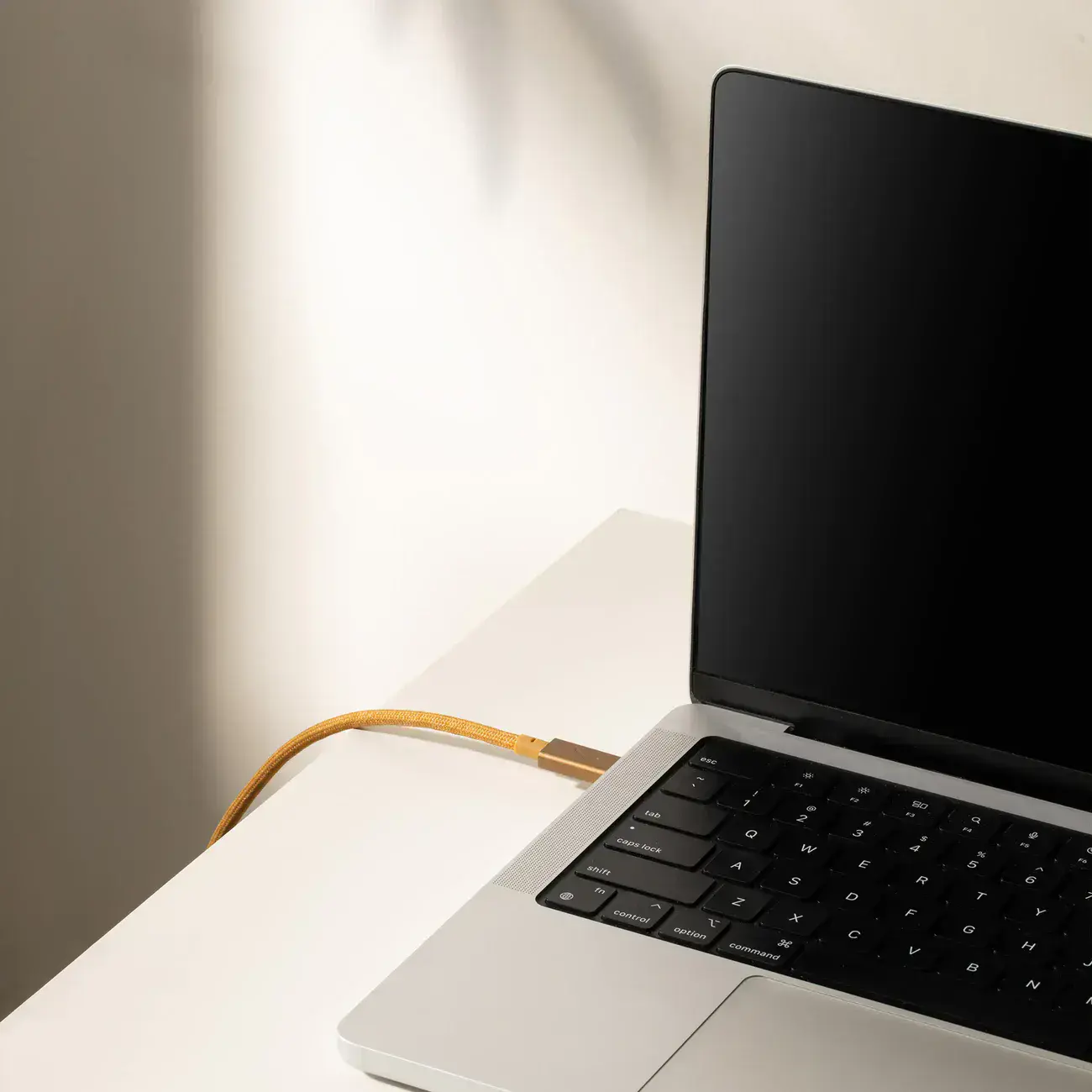 Кабель Native Union Belt Cable USB-C to USB-C Pro 240W Slate Green (2.4 m) (BELT-PRO2-GRN-NP)