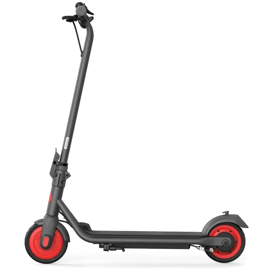 Електросамокат Ninebot by Segway eKickScooter ZING C20 - Black (AA.00.0011.54)