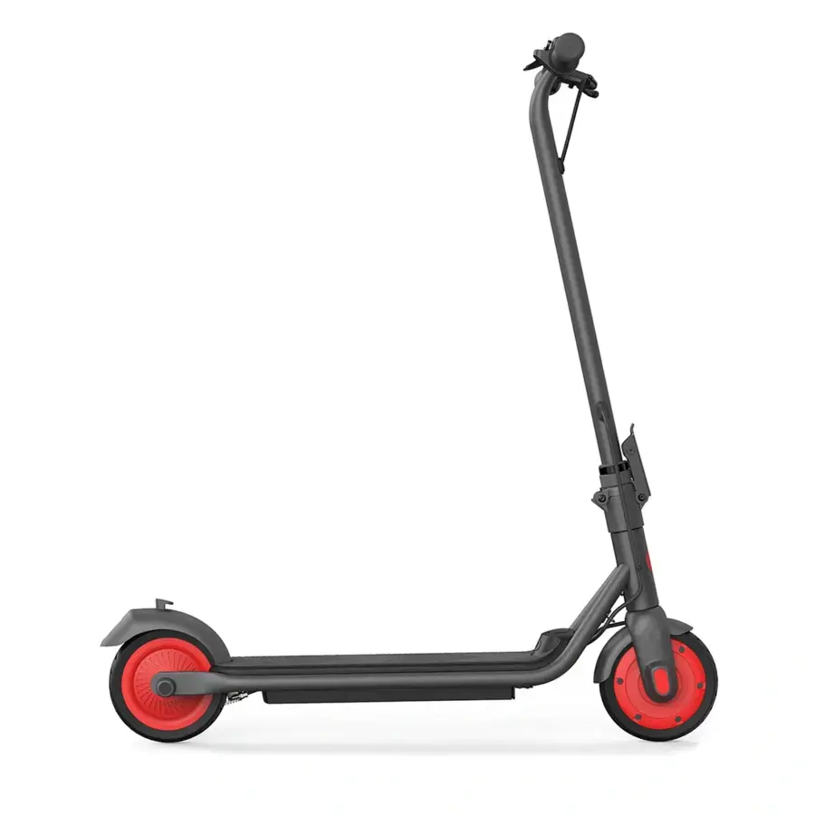 Електросамокат Ninebot by Segway eKickScooter ZING C20 - Black (AA.00.0011.54)
