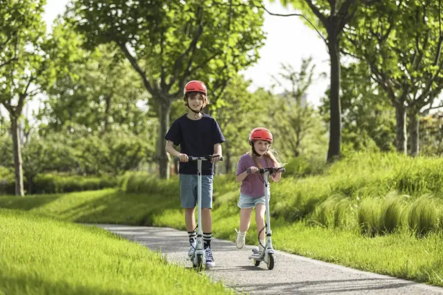 Електросамокат Ninebot by Segway eKickScooter ZING C8 - White (AA.00.0011.61)