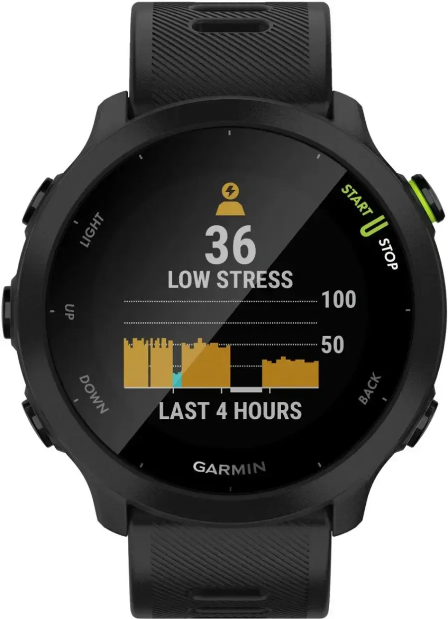 Смарт-годинник Garmin Forerunner 55 - Black (010-02562-00/10)