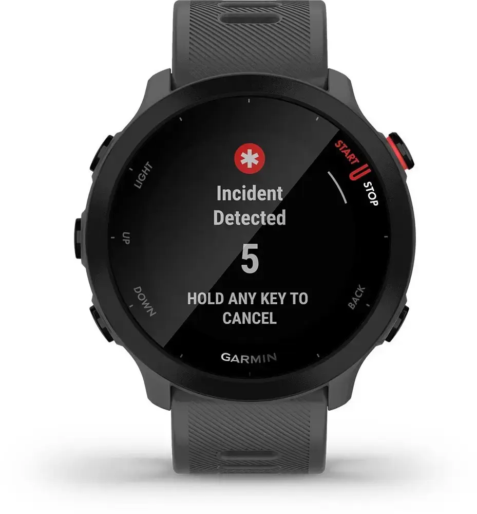 Смарт-годинник Garmin Forerunner 55 - Monterra Grey (010-02562-13)