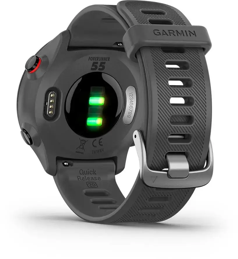 Смарт-годинник Garmin Forerunner 55 - Monterra Grey (010-02562-13)