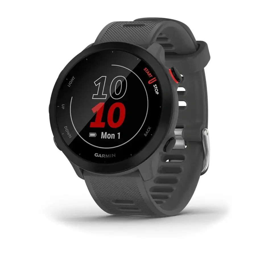 Смарт-годинник Garmin Forerunner 55 - Monterra Grey (010-02562-13)