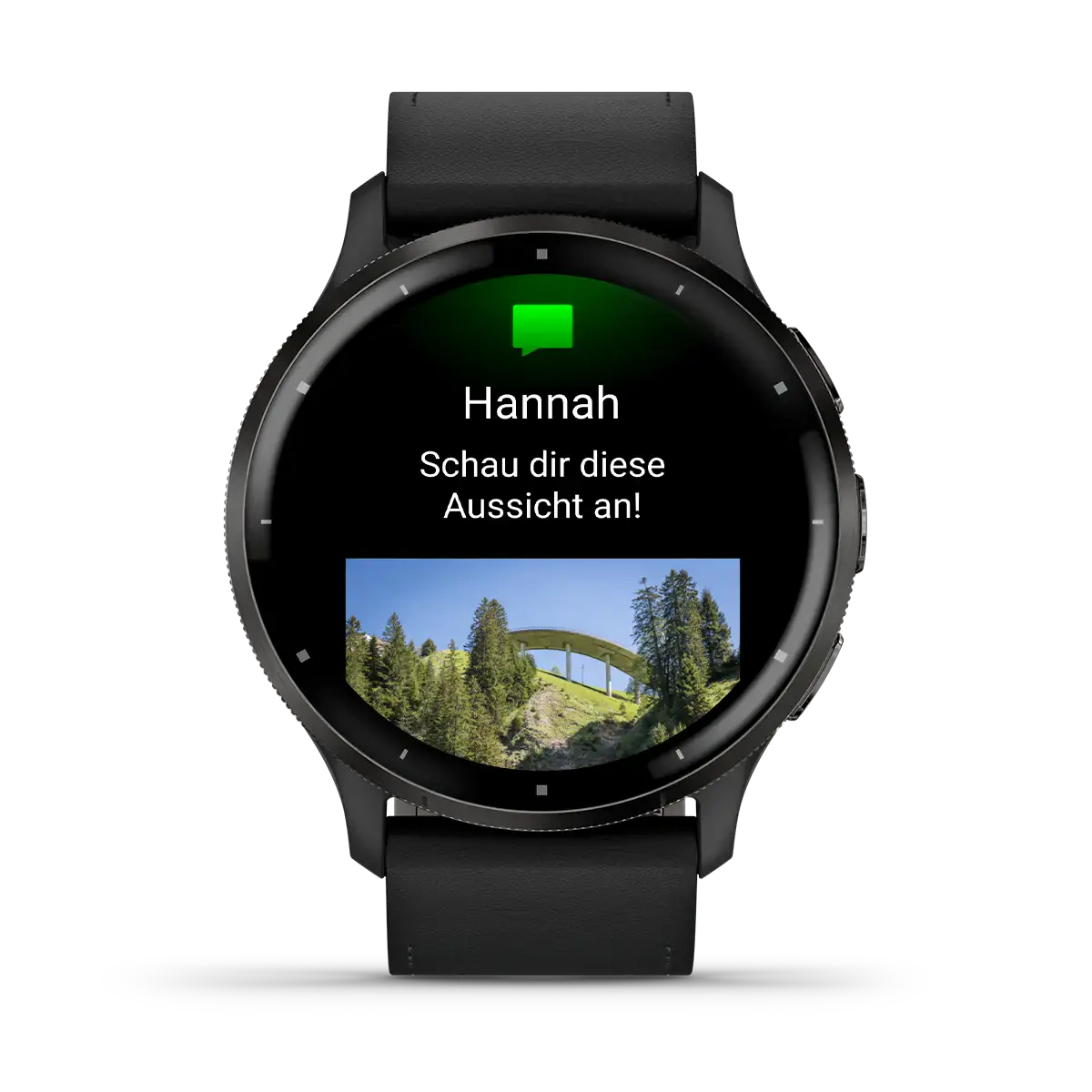 Смарт-часы Garmin Venu 3 Black/Slate Gray with Quick Release Leather Strap (010-02784-52)