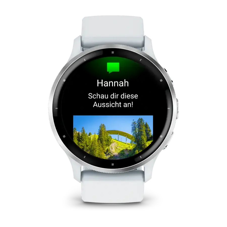 Смарт-годинник Garmin Venu 3 Silver Stainless Steel Bezel with Whitestone Case and Silicone Band (010-02784-00)