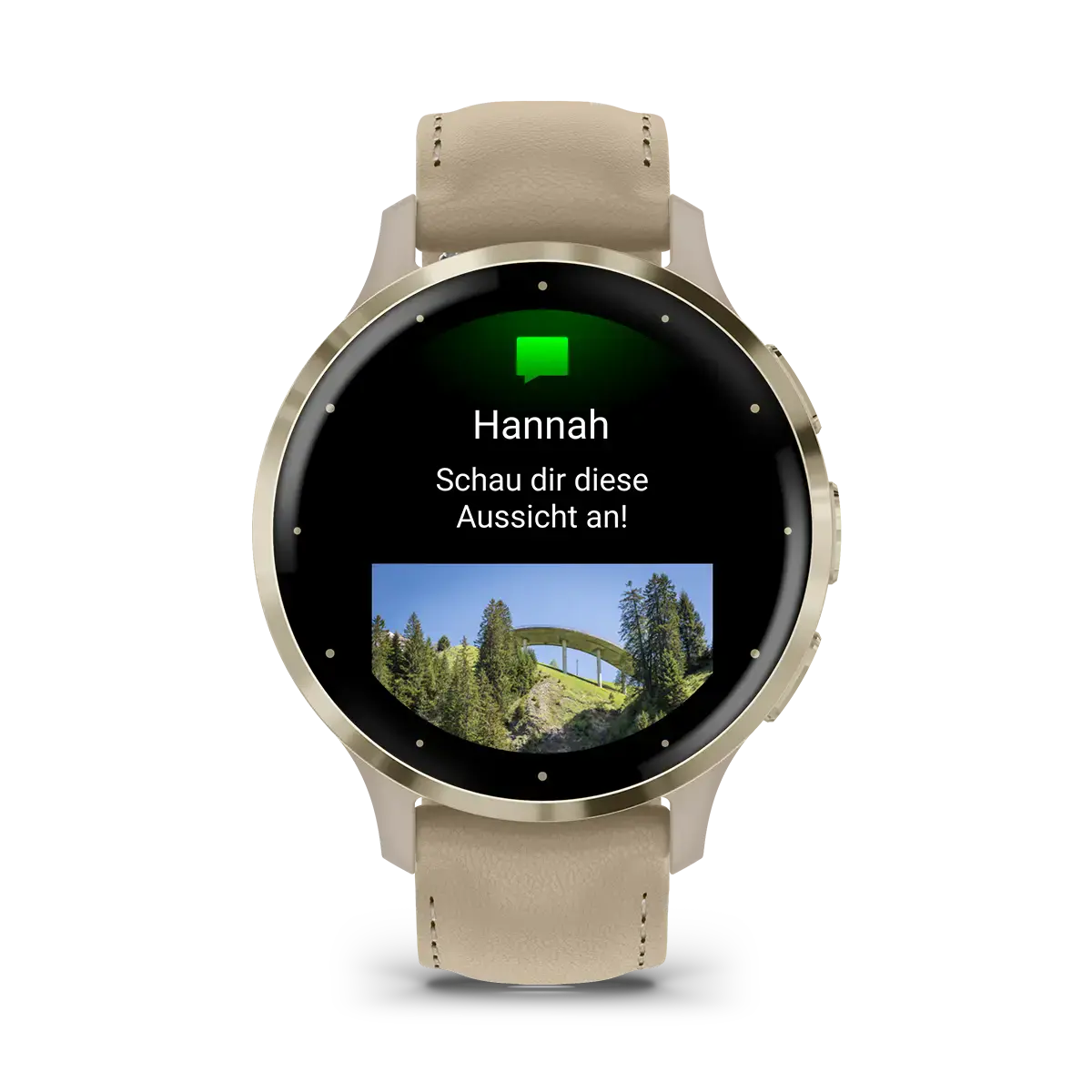 Смарт-часы Garmin Venu 3S French Gray/Soft Gold with Quick Release Leather Strap (010-02785-55)