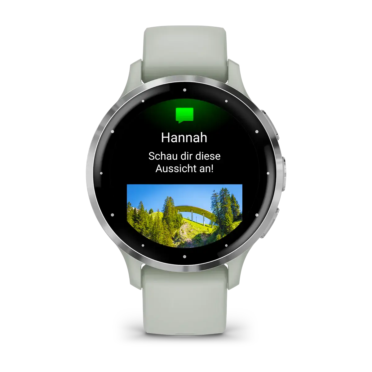 Смарт-часы Garmin Venu 3S Silver Stainless Steel Bezel with Sage Gray Case and Silicone Band (010-02785-01)