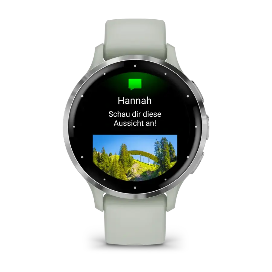 Смарт-годинник Garmin Venu 3S Silver Stainless Steel Bezel with Sage Gray Case and Silicone Band (010-02785-01)